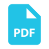 Purchase Order Format PDF